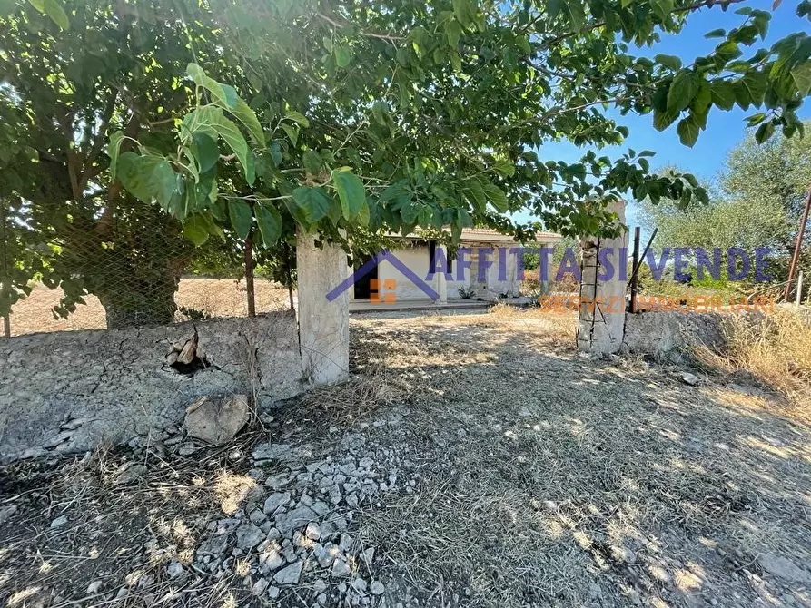 Immagine 31 di Terreno agricolo in vendita  in Traversa Maeggio di Sopra a Siracusa