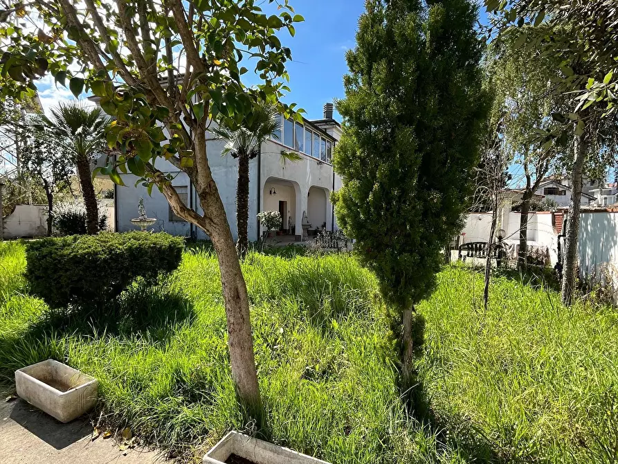 Immagine 3 di Casa trifamiliare in vendita  a Pescara