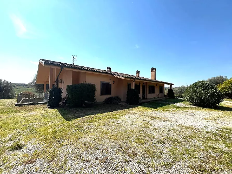 Immagine 5 di Villa in vendita  a Fiano Romano
