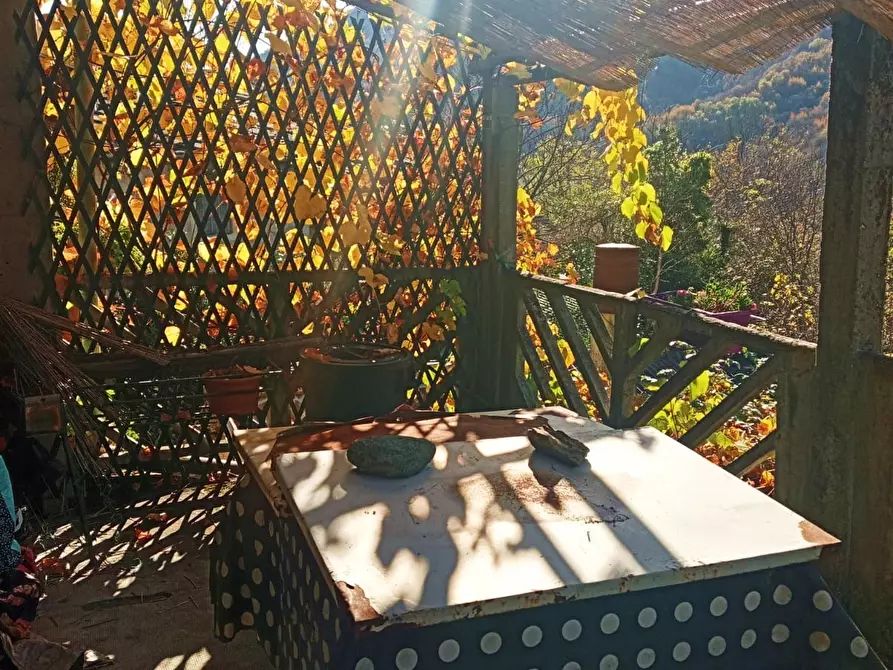 Immagine 8 di Rustico / casale in vendita  in Borgata Serre a Perosa Argentina