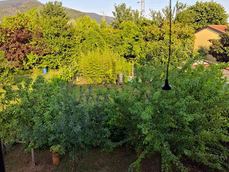 Immagine 35 di Terratetto in vendita  a San Giuliano Terme