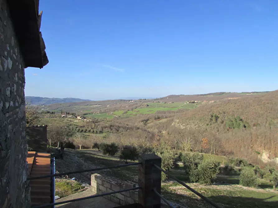 Immagine 4 di Rustico / casale in vendita  a Baschi