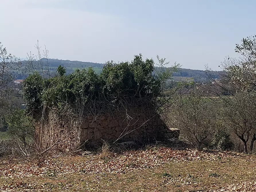 Immagine 6 di Terreno agricolo in vendita  a Massa Martana