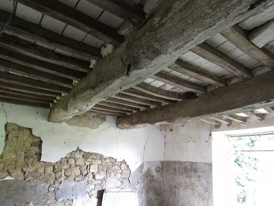 Immagine 31 di Rustico / casale in vendita  a Todi