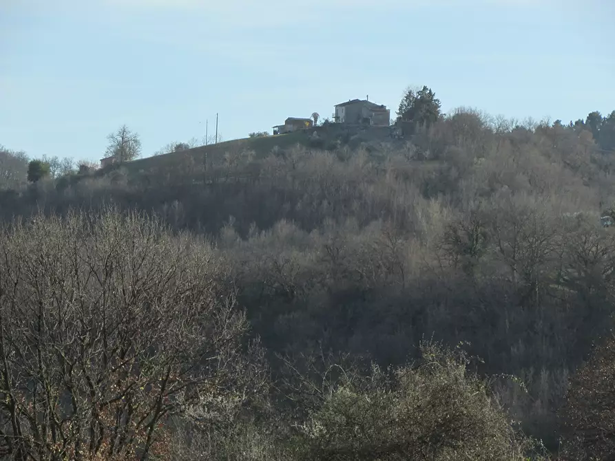 Immagine 13 di Rustico / casale in vendita  a Baschi