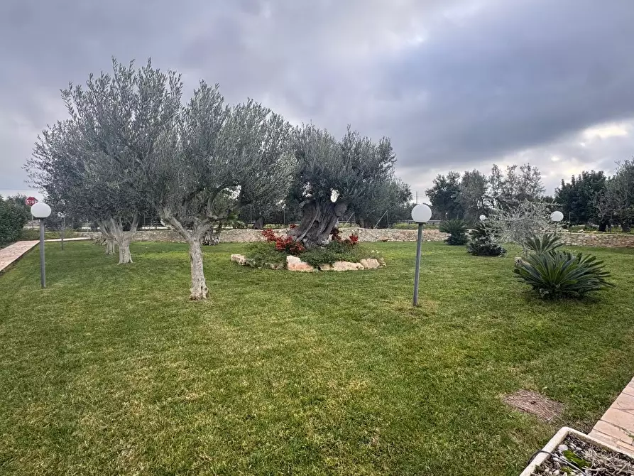 Immagine 20 di Casa indipendente in vendita  in contrada materdomini a Monopoli