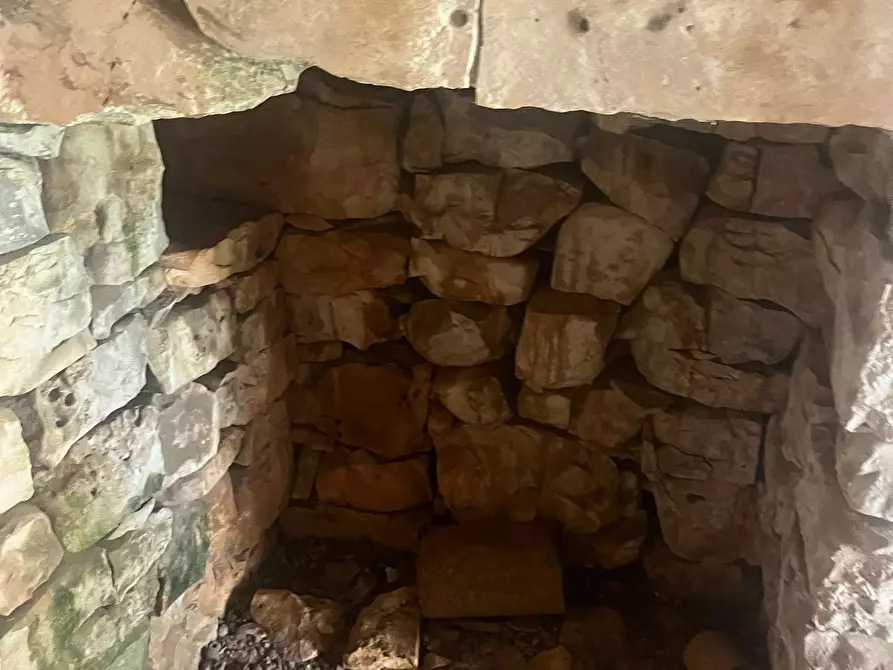 Immagine 5 di Rustico / casale in vendita  in Via Vd'impelo a Castellana Grotte