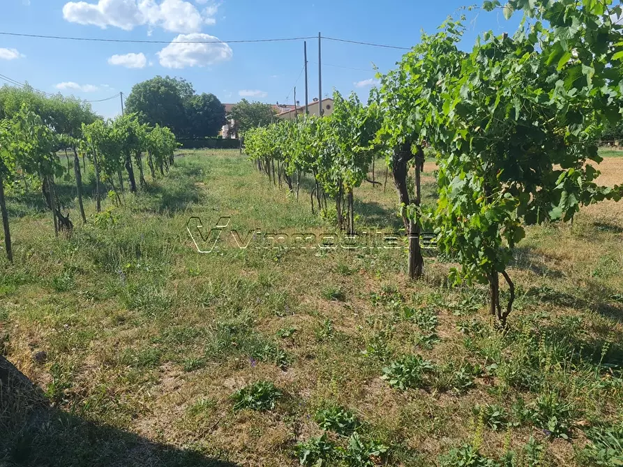 Immagine 9 di Rustico / casale in vendita  in via caselle 43 a Noventa Vicentina