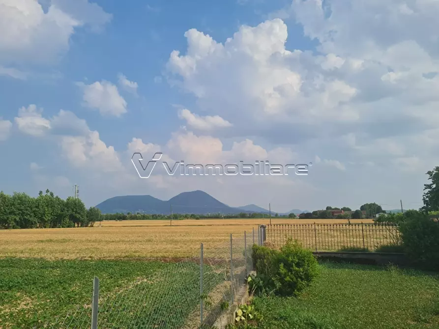 Immagine 3 di Terreno agricolo in vendita  in Via Cà Montanare a Barbarano Mossano