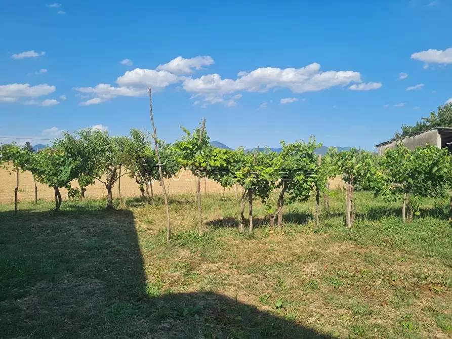 Immagine 11 di Rustico / casale in vendita  in via caselle 43 a Noventa Vicentina