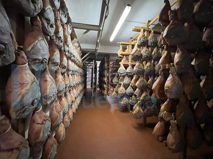 Immagine 67 di Attività artigianale in vendita  a Savignano Sul Panaro