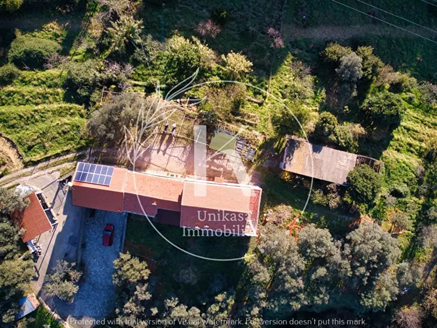 Immagine 8 di Terratetto in vendita  in San Nazario a Savona