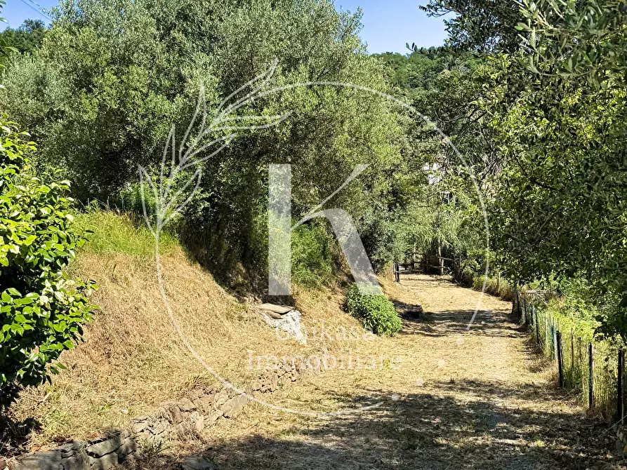 Immagine 11 di Casa indipendente in vendita  in Località Mezzano 22 a Stella