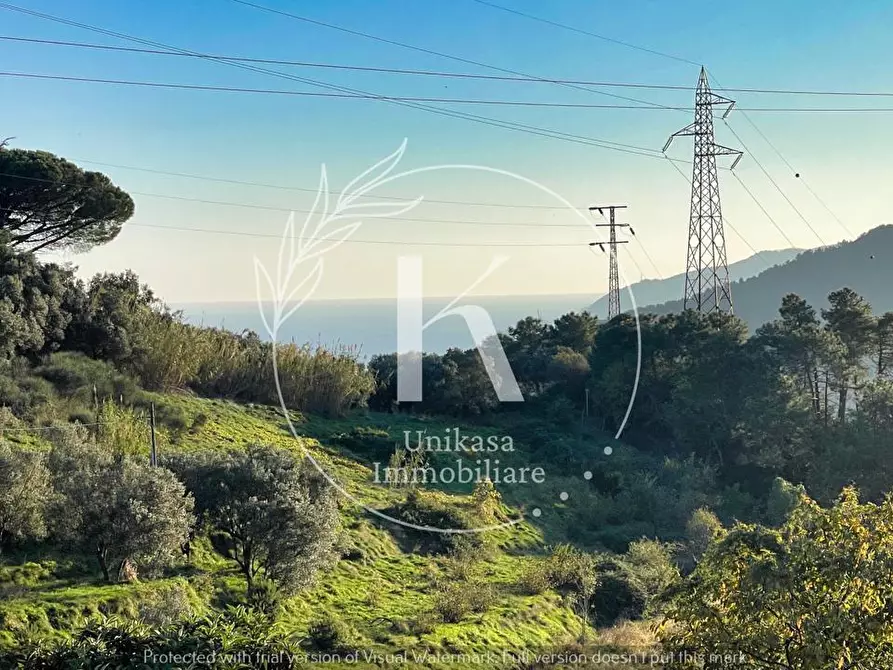 Immagine 15 di Terratetto in vendita  in San Nazario a Savona