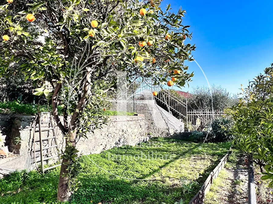 Immagine 14 di Villa in vendita  in Via Bellavista 12 a Savona