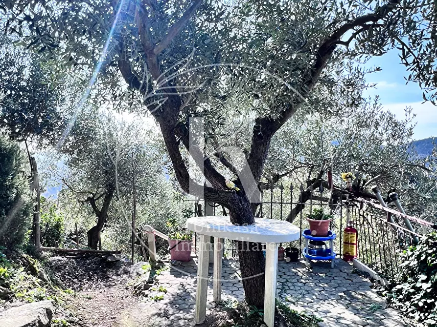 Immagine 40 di Villetta a schiera in vendita  in Via Vilmar 1 a Vezzi Portio