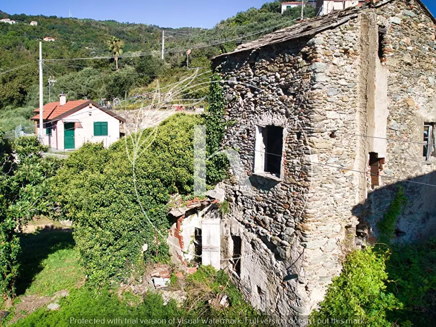 Immagine 5 di Rustico / casale in vendita  in Via Santa Margherita a Vado Ligure