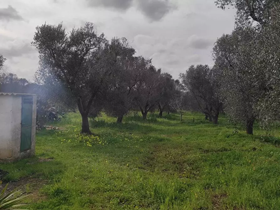Immagine 5 di Casa indipendente in vendita  in Contrada Santo Scalone a Ostuni