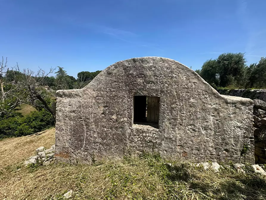 Immagine 14 di Villa in vendita  in Contrada Fantese 38 a Ostuni