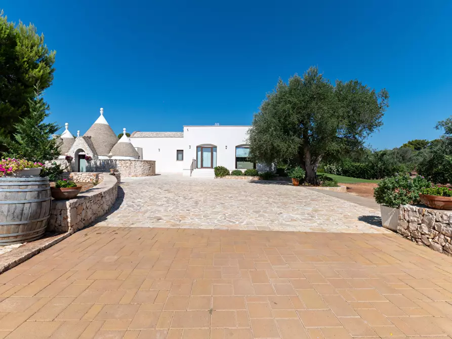 Immagine 4 di Villa in vendita  in contrada augelluzzi a San Michele Salentino