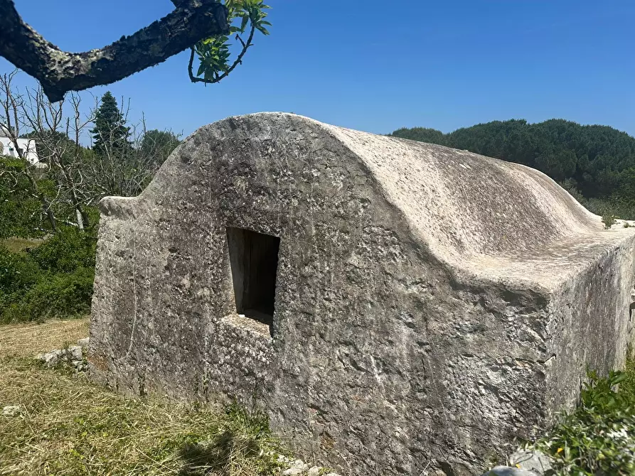 Immagine 11 di Villa in vendita  in Contrada Fantese 38 a Ostuni