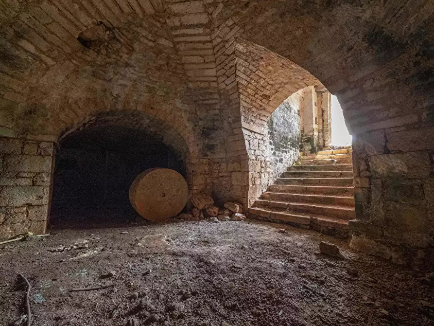 Immagine 30 di Rustico / casale in vendita  a Ostuni