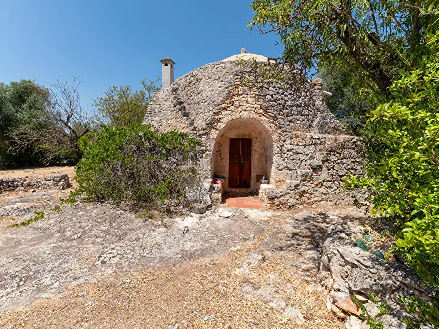 Immagine 18 di Casa indipendente in vendita  in Strada Provinciale 29 a Ostuni
