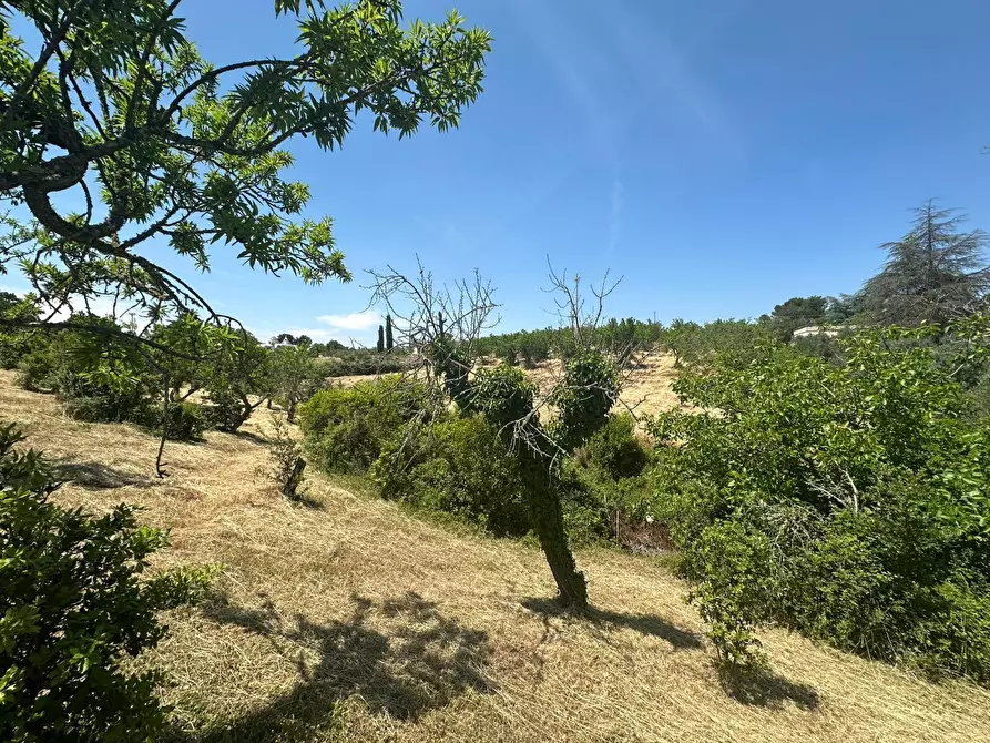 Immagine 21 di Villa in vendita  in Contrada Fantese 38 a Ostuni