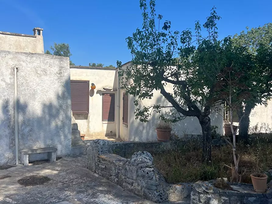 Immagine 8 di Villa in vendita  in Strada Provinciale 17 SNC a Ostuni