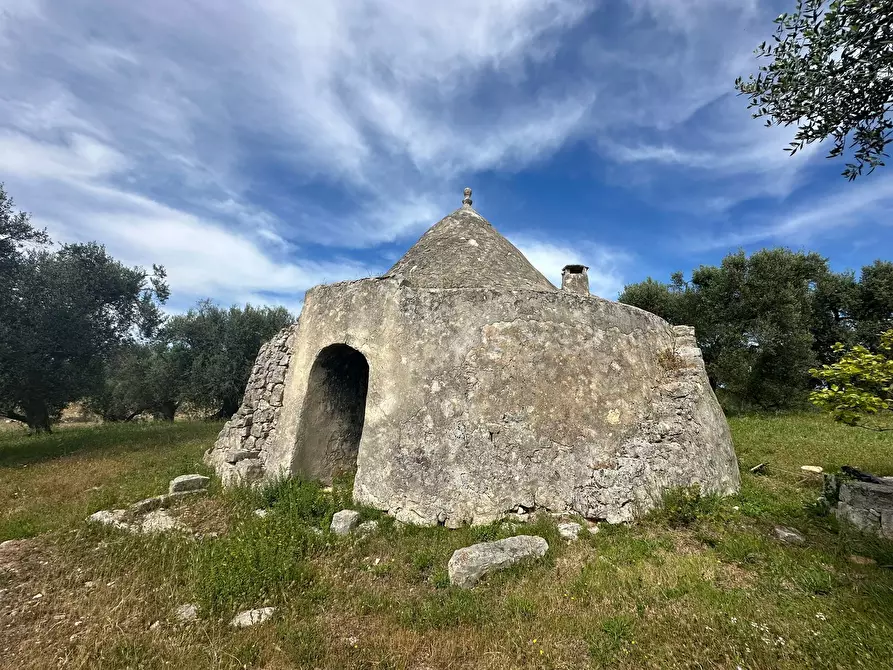 Immagine 5 di Rustico / casale in vendita  in Strada Provinciale 17 a Ostuni