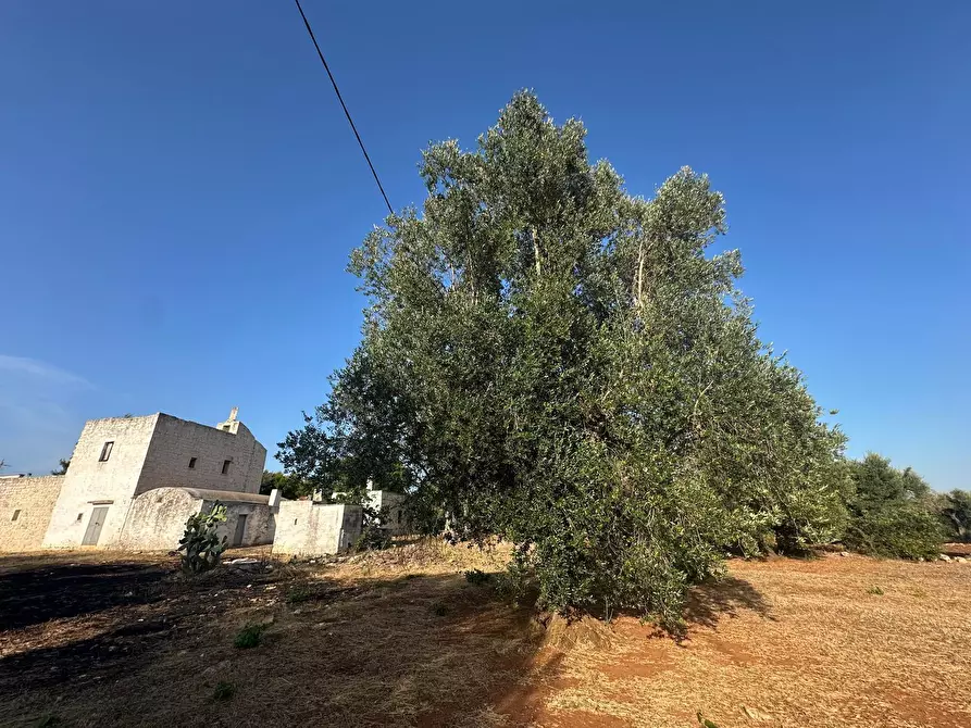 Immagine 36 di Rustico / casale in vendita  in Strada Provinciale 29 a Ostuni