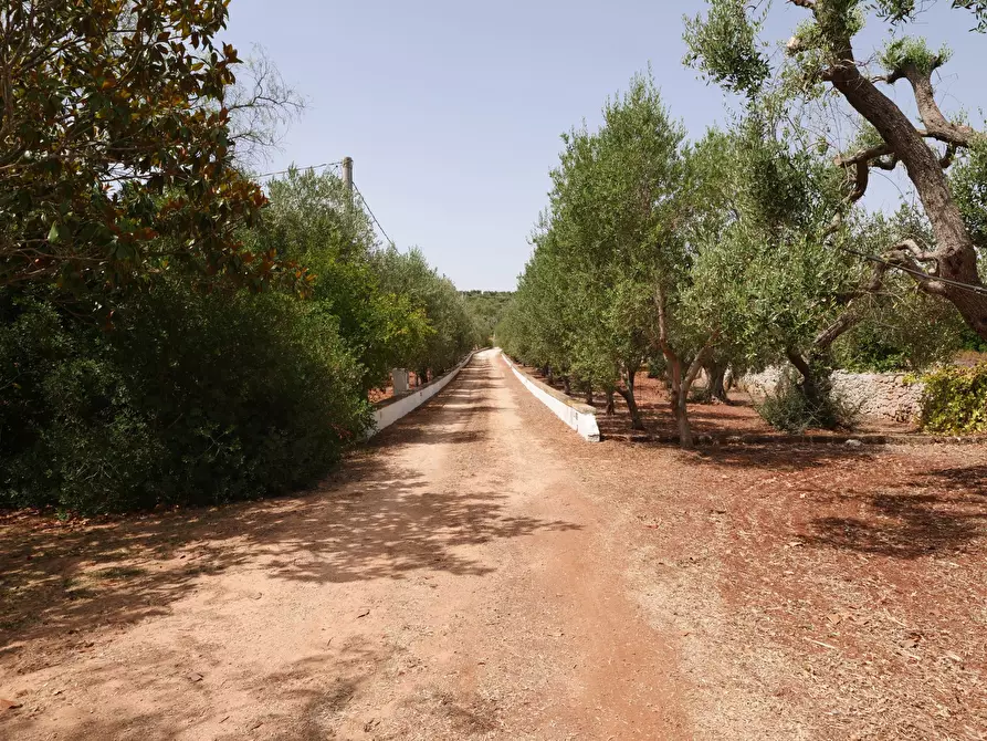 Immagine 28 di Rustico / casale in vendita  in Via Papa Giovanni XXIII a Ostuni