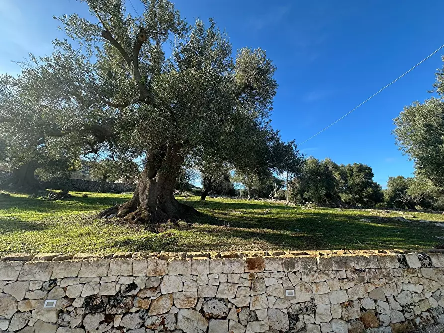 Immagine 37 di Casa indipendente in vendita  in Corso Giuseppe Mazzini a Ostuni