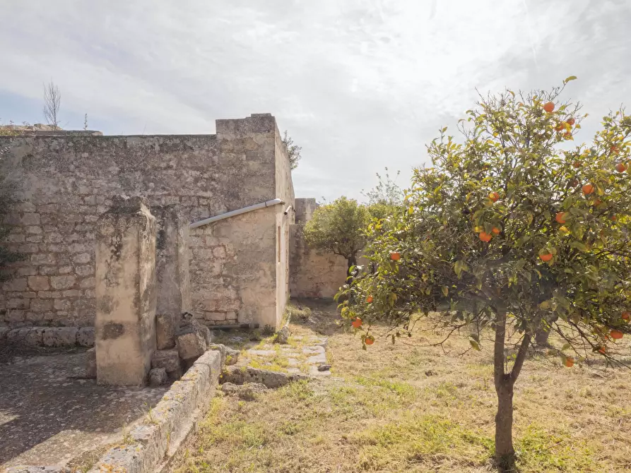 Immagine 7 di Rustico / casale in vendita  a Ostuni