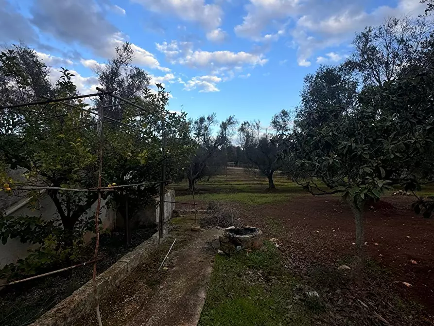 Immagine 9 di Casa indipendente in vendita  in Strada Provinciale ex SS 581 a Ceglie Messapico