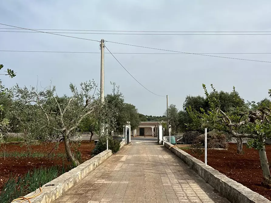 Immagine 6 di Villa in vendita  in Strada Provinciale 22sp 22 a Ostuni