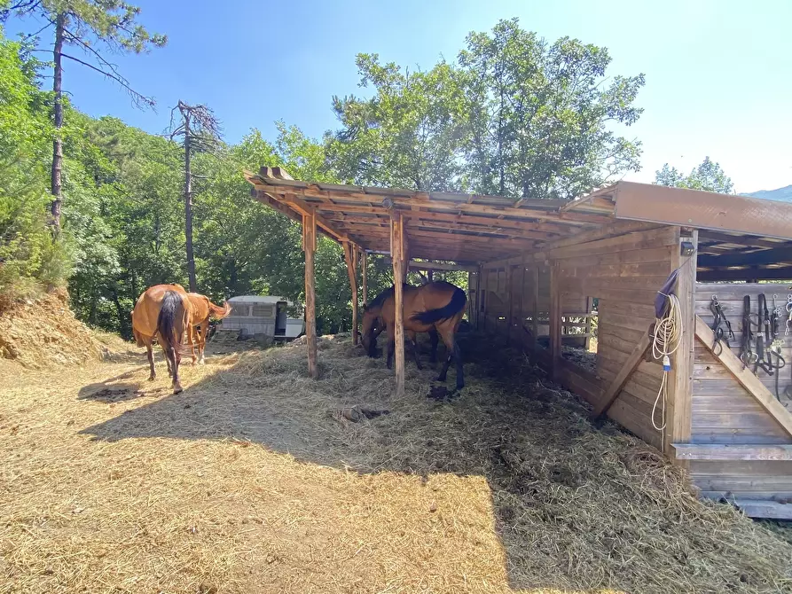 Immagine 12 di Rustico / casale in vendita  in Località Bonuzzo 22 a Sassello