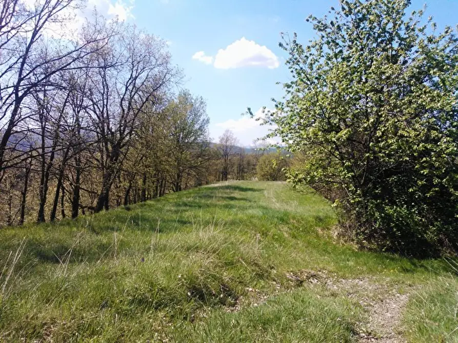 Immagine 18 di Rustico / casale in vendita  a Giusvalla