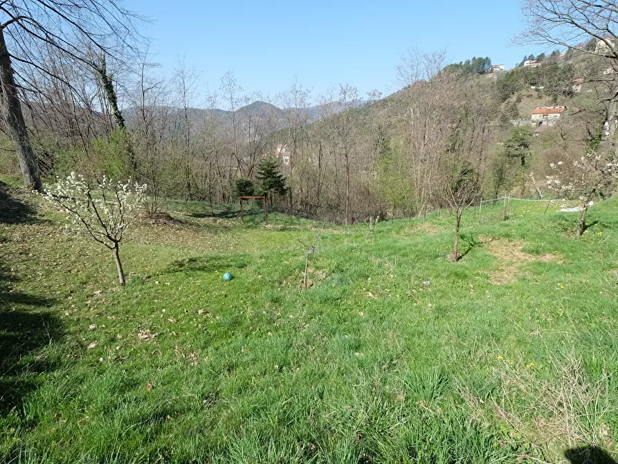 Immagine 10 di Rustico / casale in vendita  a Tiglieto
