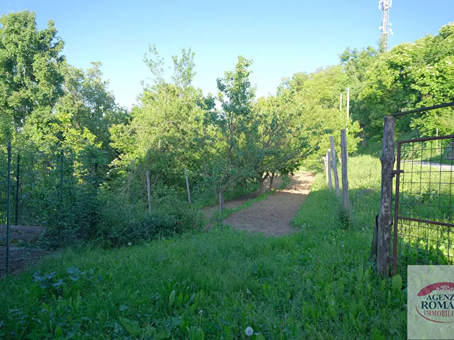 Immagine 7 di Villa in vendita  a Dego