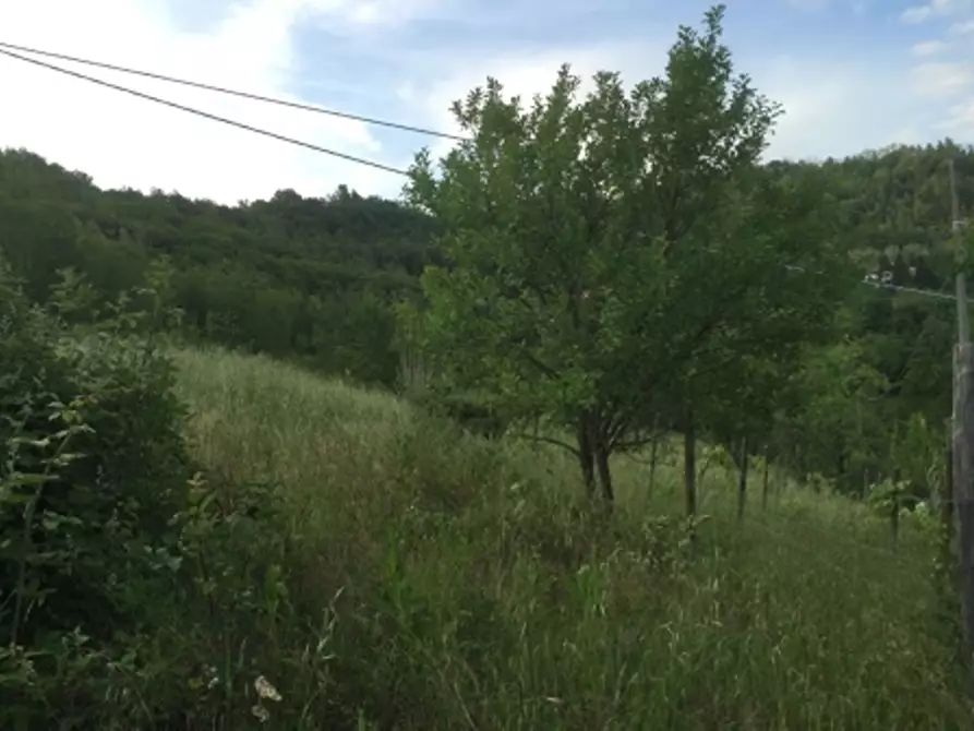 Immagine 46 di Appartamento in vendita  in via piazze 1 a Cremolino