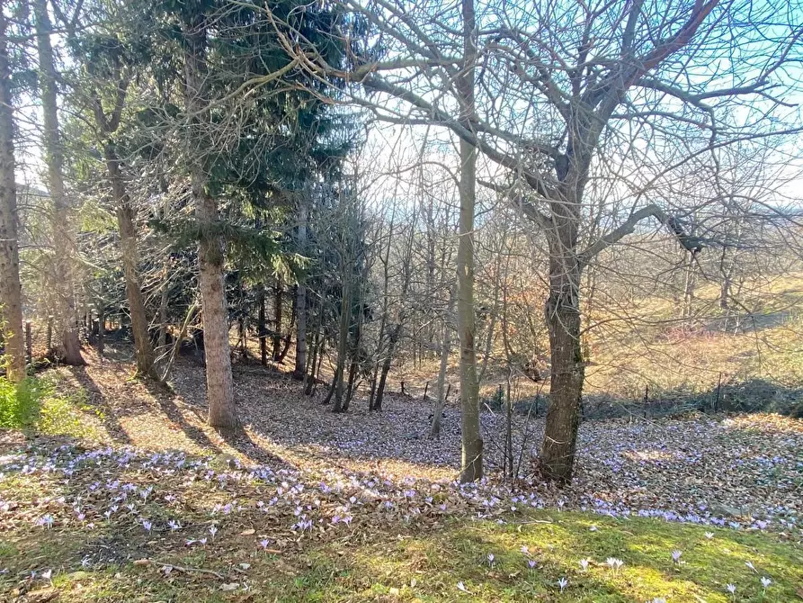 Immagine 41 di Casa indipendente in vendita  a Ponzone
