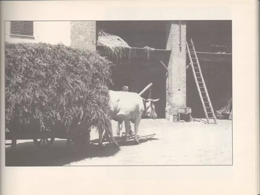 Immagine 59 di Casa indipendente in vendita  a Molare