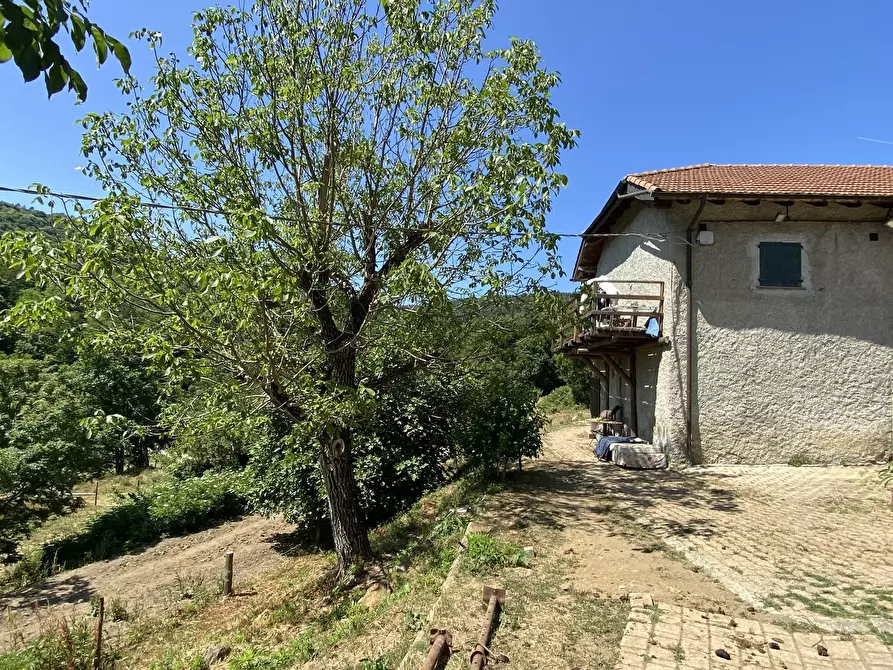 Immagine 8 di Rustico / casale in vendita  in Località Bonuzzo 22 a Sassello