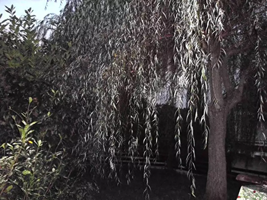 Immagine 7 di Appartamento in vendita  a Urbe