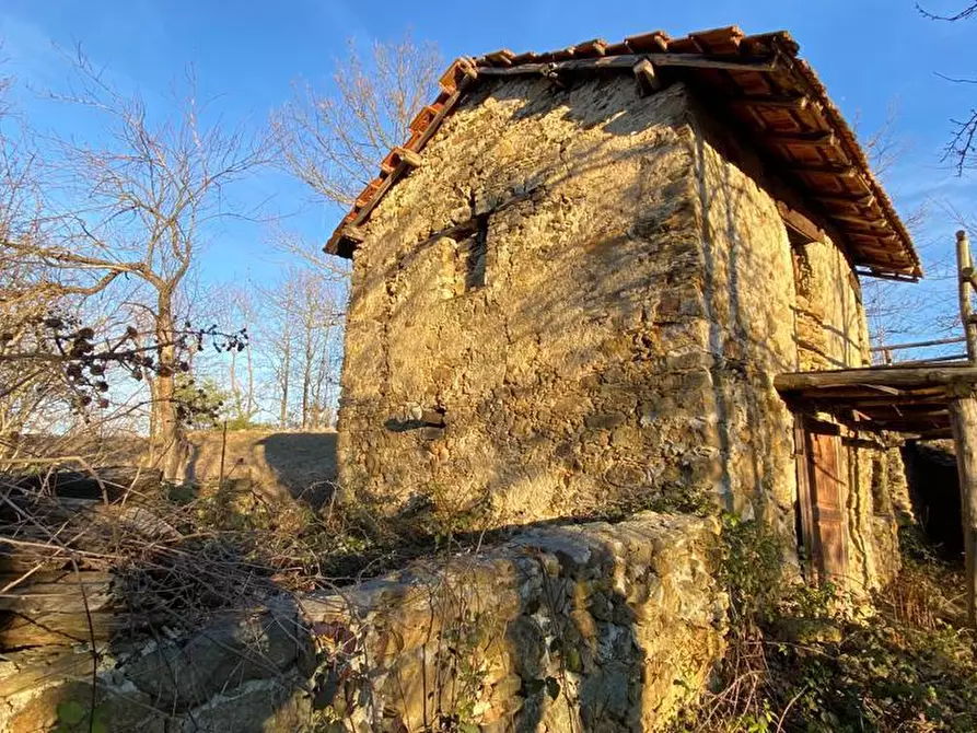 Immagine 4 di Rustico / casale in vendita  a Dego