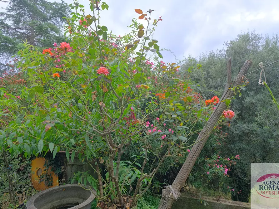 Immagine 26 di Rustico / casale in vendita  in Via Pero 112 a Varazze