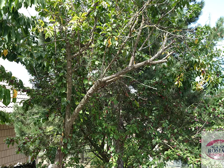 Immagine 8 di Casa indipendente in vendita  in SP210 242 a Ponzone