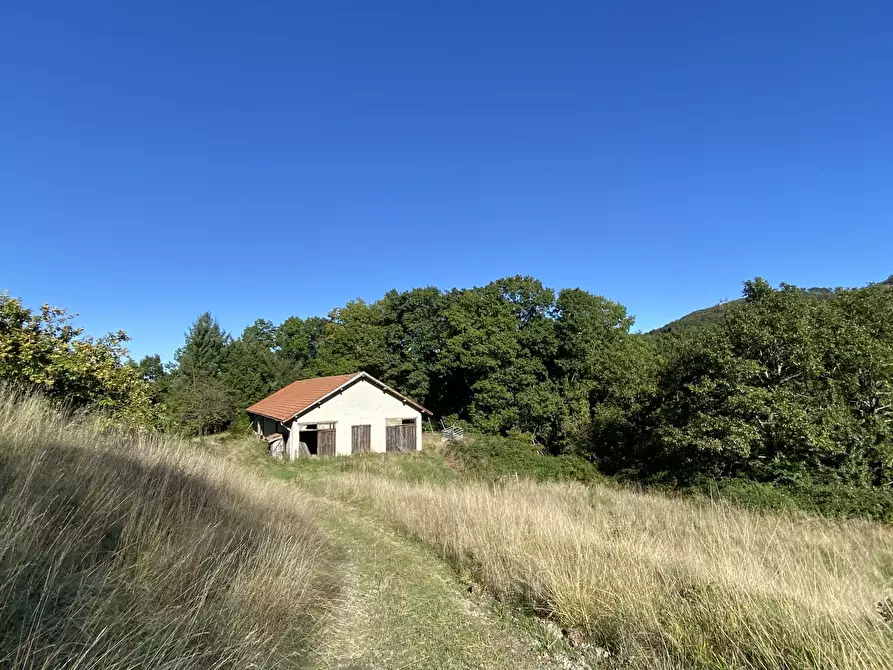 Immagine 2 di Casa indipendente in vendita  in Località Chiapuzzo 8 a Sassello