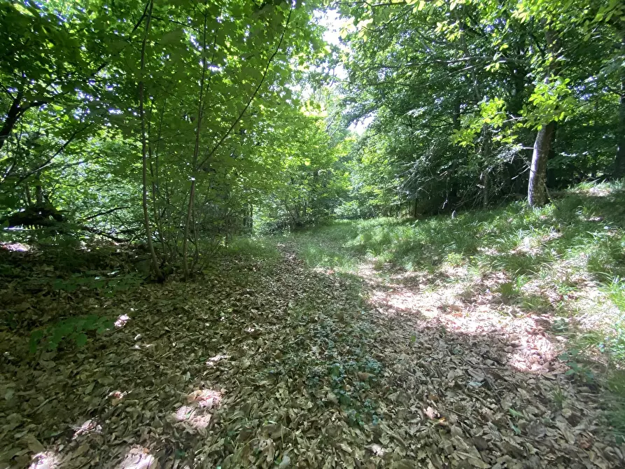 Immagine 20 di Baita in vendita  in Località Veirera 29 a Sassello
